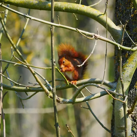 Le Manoir De Pansiyon *