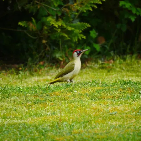 Le Manoir De *